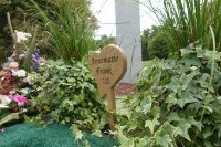 ein Bild aus dem Album