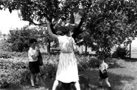 ein Bild aus dem Album