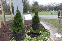 ein Bild aus dem Album