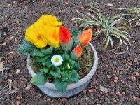 ein Bild aus dem Album